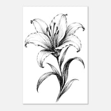 Load image into Gallery viewer, 13dd47f7-5361-40a2-a17d-b7d92b200baa
