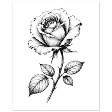 Load image into Gallery viewer, 33be3de8-9857-48dc-afd3-30b6aa75274c
