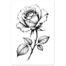 Load image into Gallery viewer, 4a136c80-de78-4dbb-b55c-a17eddcd180e
