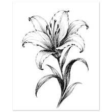 Load image into Gallery viewer, 612b5443-5290-482e-9428-4cb4fe4a92fc
