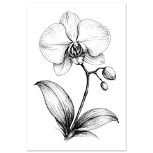 Load image into Gallery viewer, 6347f957-0c0e-43a1-9a75-51a9694088ec
