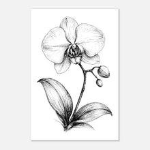 Load image into Gallery viewer, 8dce814b-f497-45b6-8dc5-c1efa5a141b9
