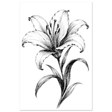Load image into Gallery viewer, ce9d0aad-9b68-4057-8755-4effaedbe67d
