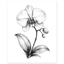 Load image into Gallery viewer, d25a7e20-f1ff-44cf-9e3e-654553dd1245

