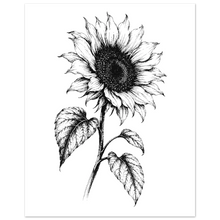 Load image into Gallery viewer, ec212917-f1c2-4aa2-a3bd-3892fcda35b9
