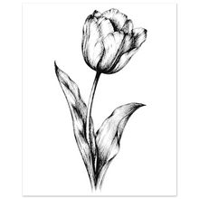 Load image into Gallery viewer, fb5eaaac-0b28-4e05-8375-c3f8dc0e09b8
